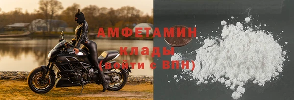 сатива Беломорск
