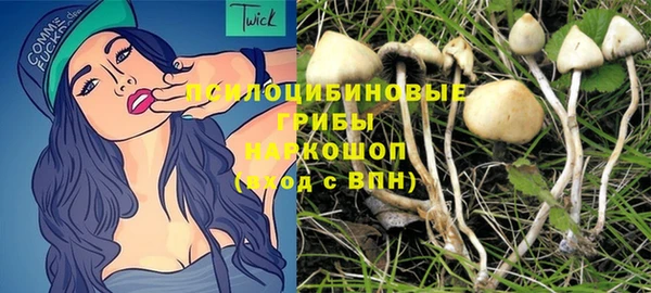 сатива Беломорск
