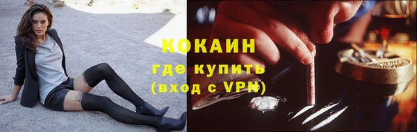 дживик Белокуриха