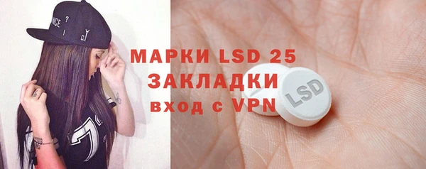 дживик Белокуриха