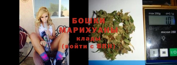 дживик Белокуриха
