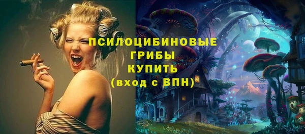 дживик Белокуриха