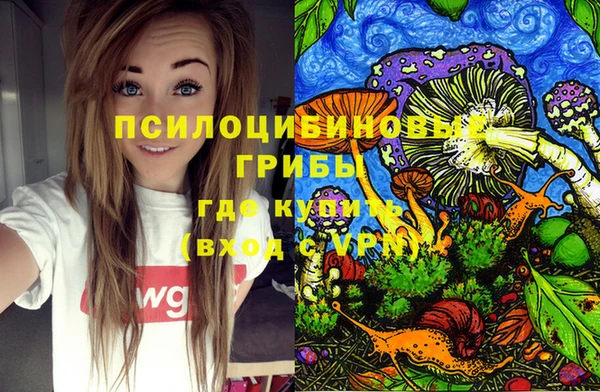 дживик Белокуриха