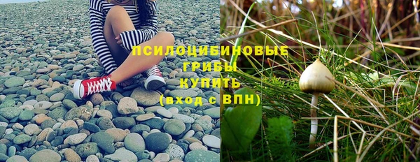 гидра Белоозёрский